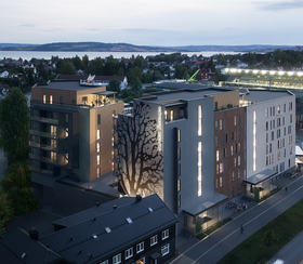 HAMAR, KASTANJEN